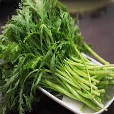 Edible garland chrysanthemum seeds on a white plate.