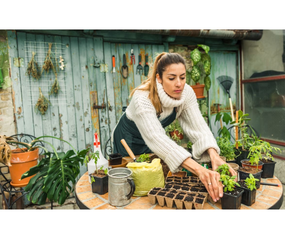 Woman gardening, repotting seedlings at an outdoor table with tools and peat pots.