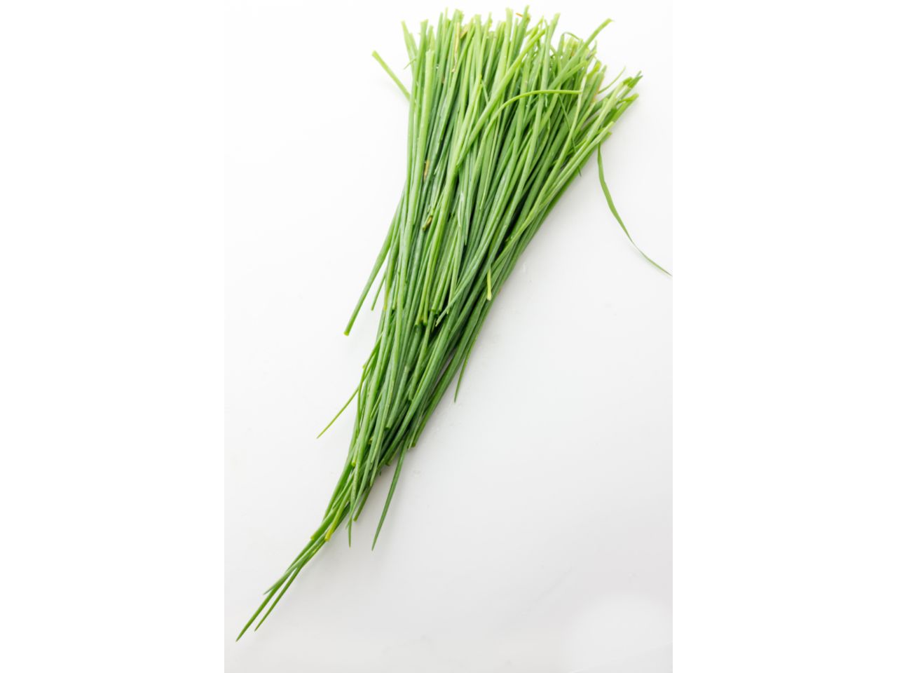 Fresh organic chives, ready to be used in cooking.