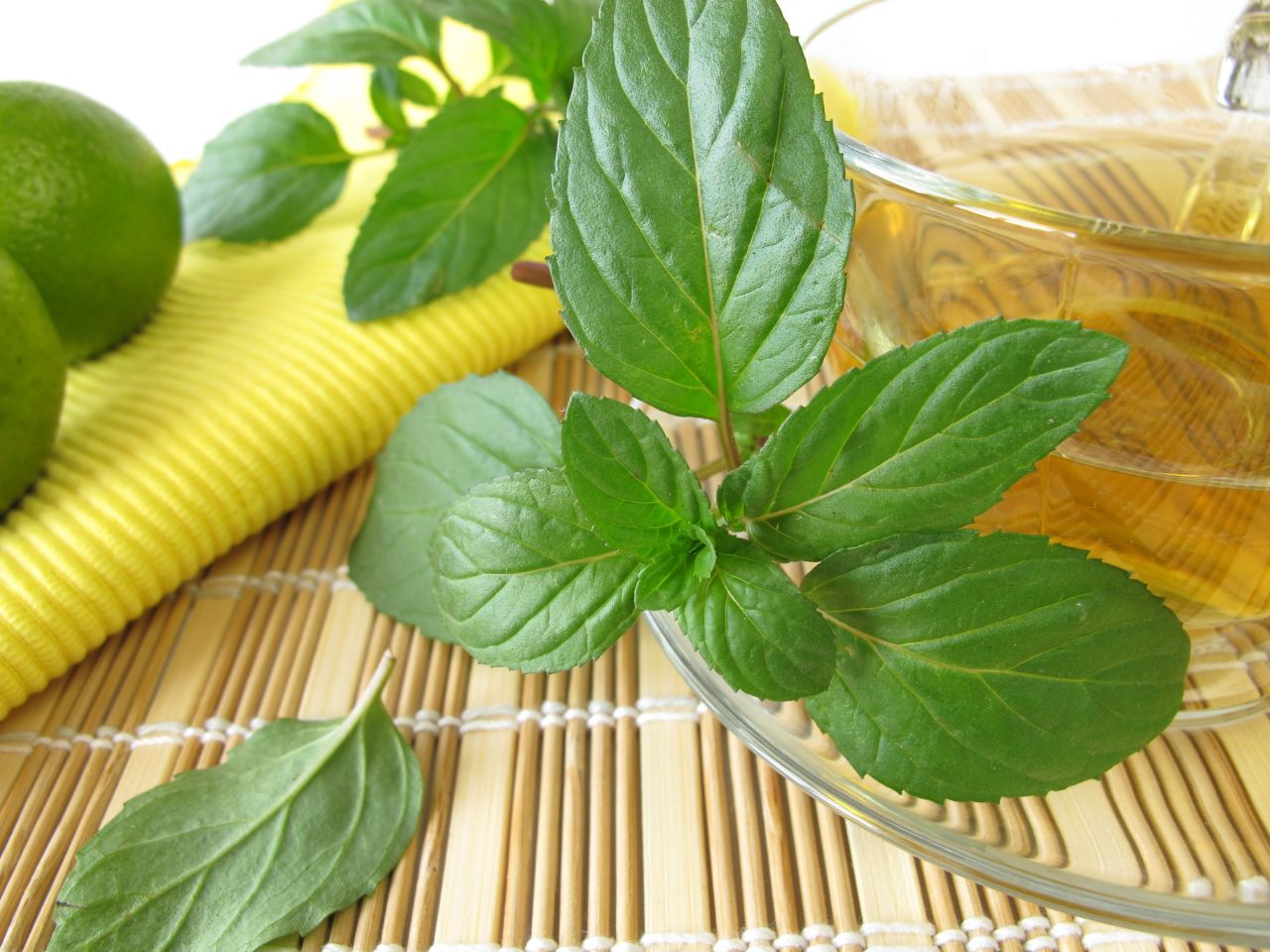 Fresh lemon mint sprig beside a glass of herbal tea and limes.