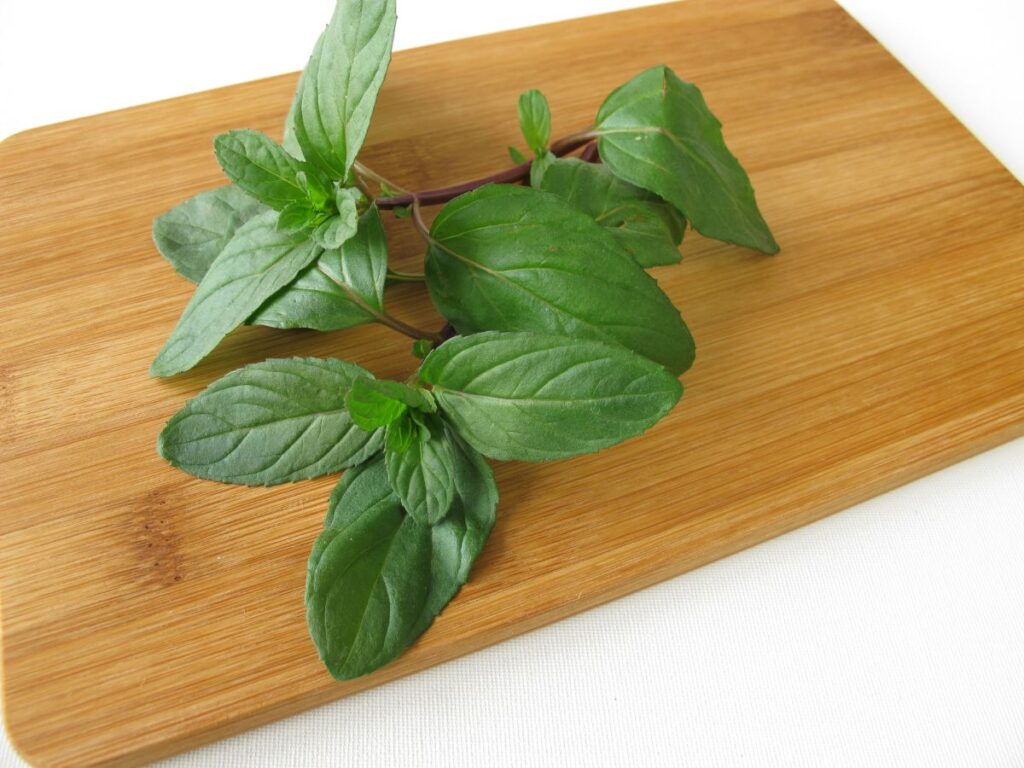 Fresh lemon mint sprig on a wooden cutting board.