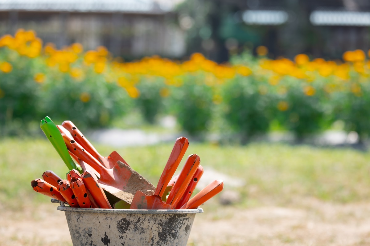 Gardening tools in a bucket with orange flowers in the background.