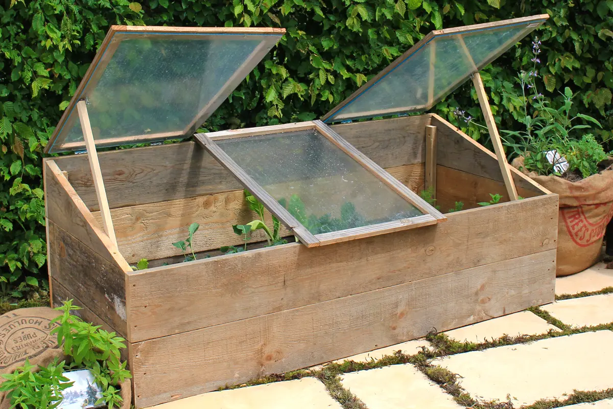 Cold frame with seedlings. Ideal for starting plants indoors or outdoors.