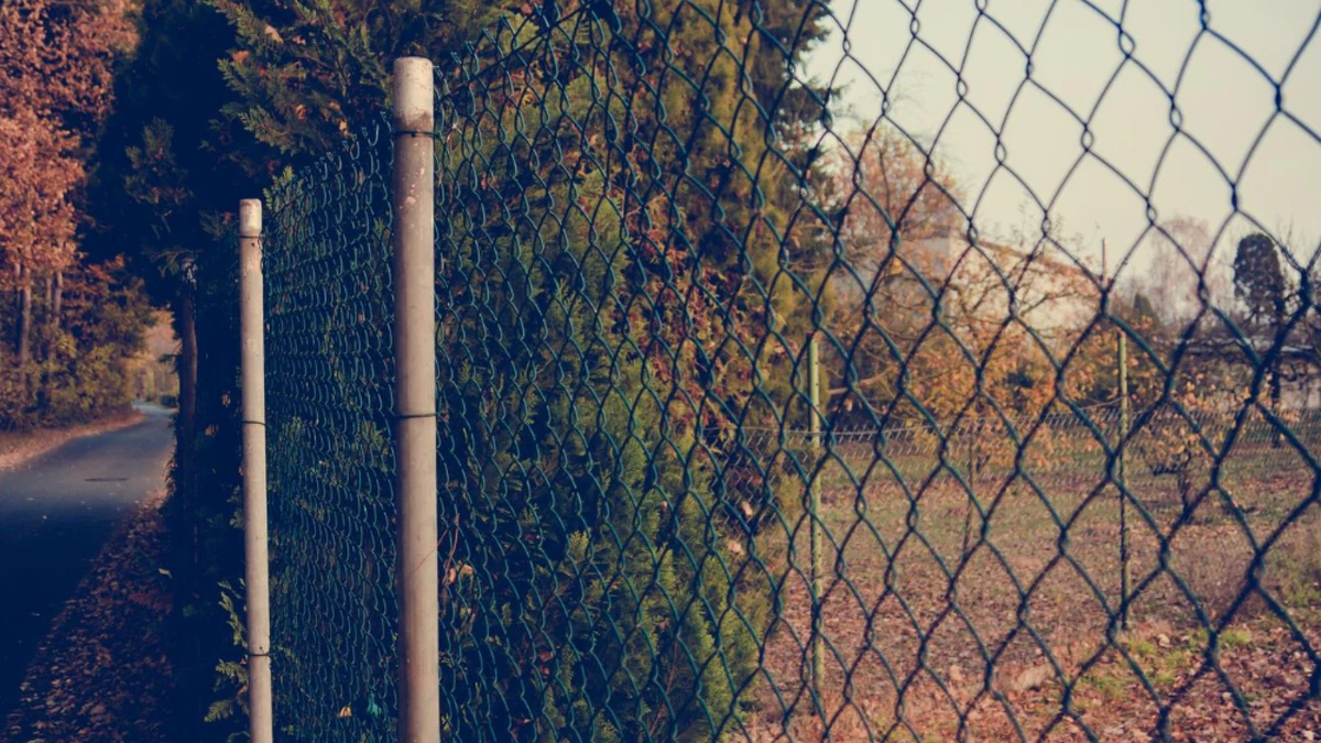 Chain link fence with green foliage, part of a 'pose d'un grillage pour une clôture' project.