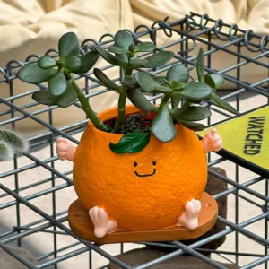 Orange-shaped planter with succulent on a metal grid. Cute, whimsical plant pot.