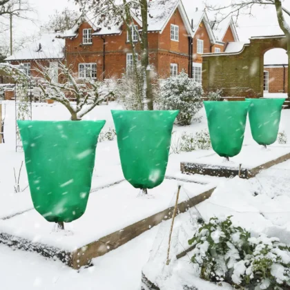 Winter plant protection: green shrub covers in snowy garden.