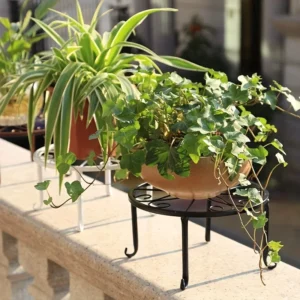 Potted spider plant and ivy on decorative metal plant stands on a balcony ledge.