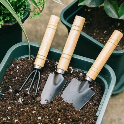 Mini gardening tool kit: trowel, transplanting spade, and hand rake in soil.